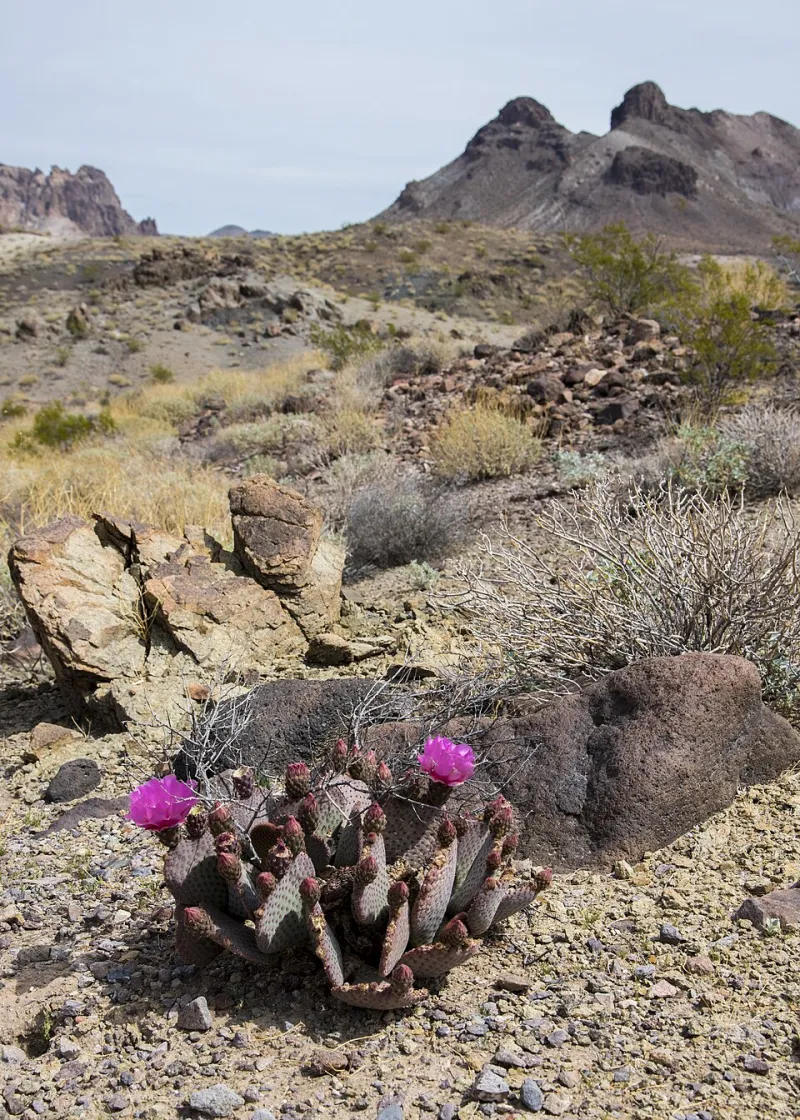 One Hidden Valley for Every Corner of America: Your Season-by-Season Field Guide