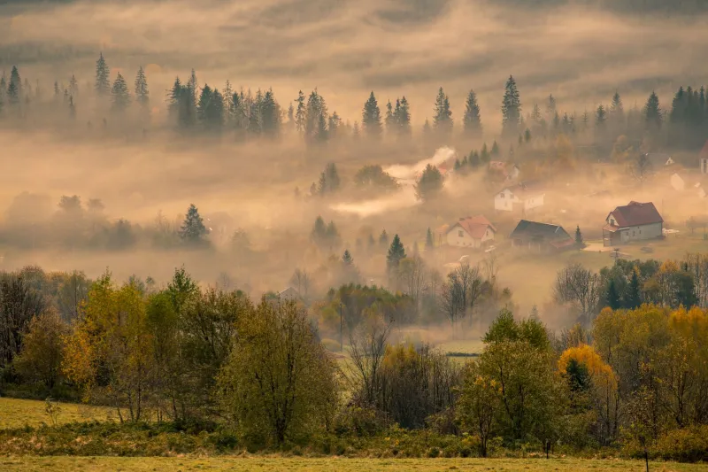 Stuck on Purpose: The Travelers Who Came for a Weekend and Never Went Home